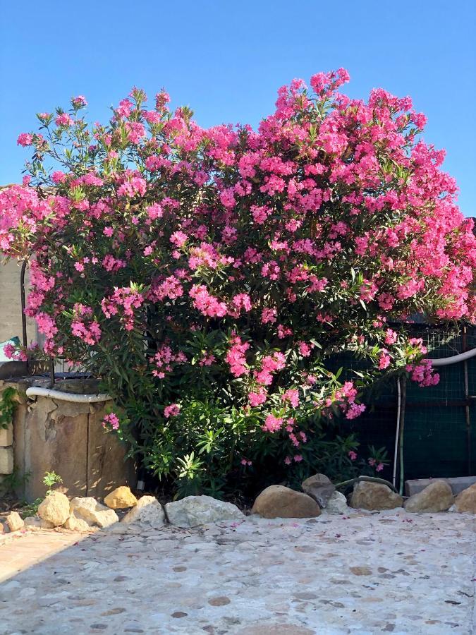 Agrialma Hotel Agrigento Kültér fotó